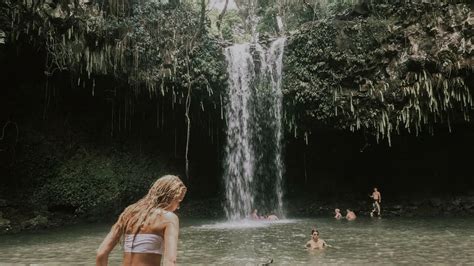 Maui's Magical Forest: A Spiritual Retreat in Nature